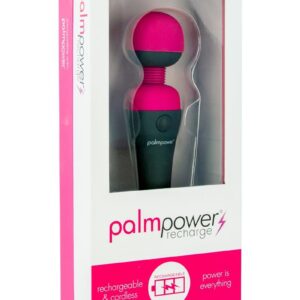 PalmPower Rechargeable Silicone Personal Wand Massager - Fuschia