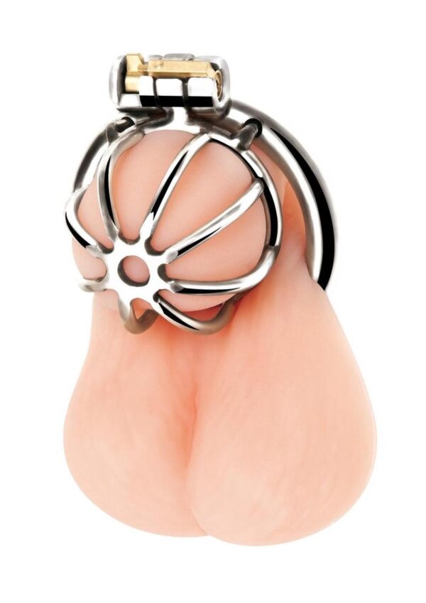 Blue Line Little Cock Chastity Cage - Stainless Steel - Image 2