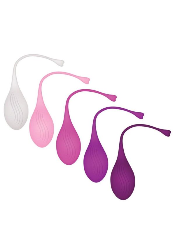 Tight and Delight Silicone Weighted Kegel Balls Set (5 piece) - Multicolor - Image 3