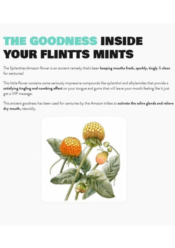 Flintts Mints Mouth Watering Oral Delights - Mint (F Strength 200) - 28-30 per tin - Image 3