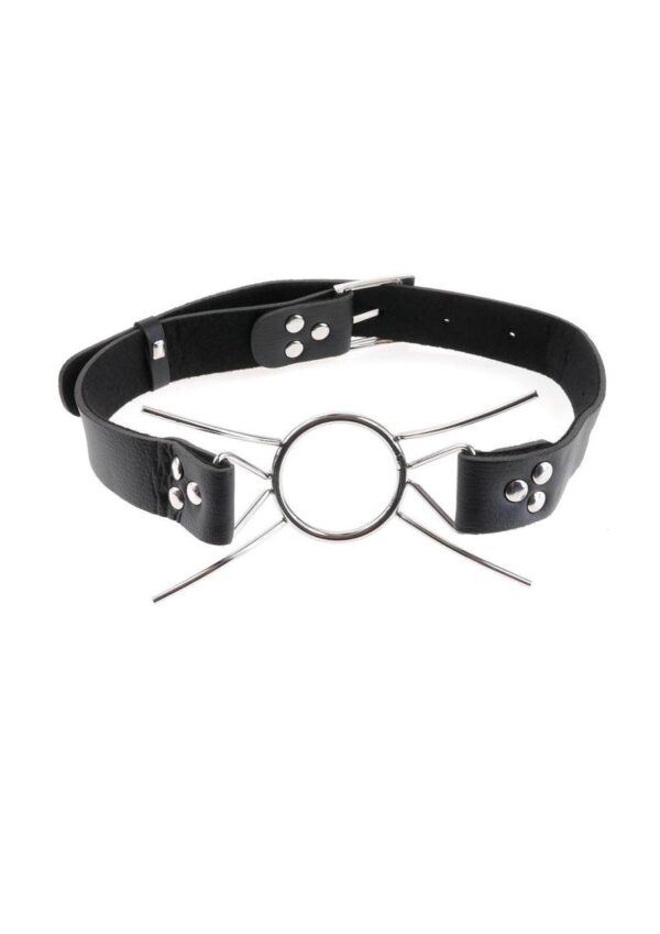 Fetish Fantasy Extreme Spider Gag - Silver - Image 2
