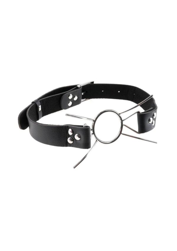 Fetish Fantasy Extreme Spider Gag - Silver - Image 3