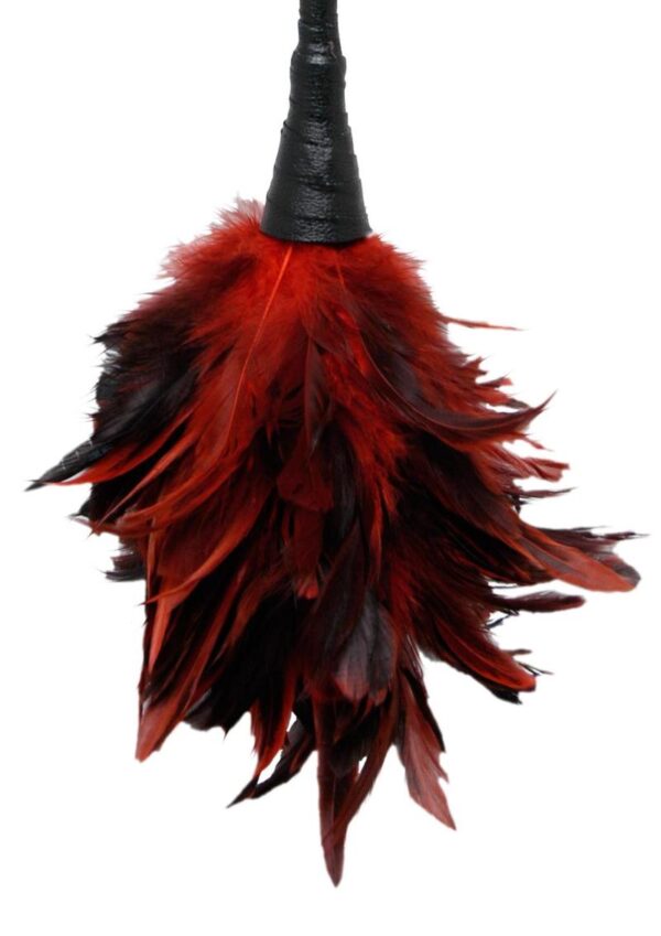 Fetish Fantasy Series Frisky Feather Duster Red - Image 2