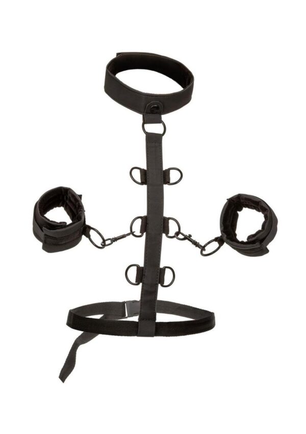 Boundless Collar Body Restraint - Black - Image 2
