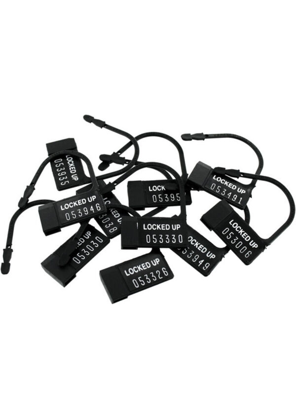 Male Chastity Plastic Locks (10 Per Pack) - Image 2