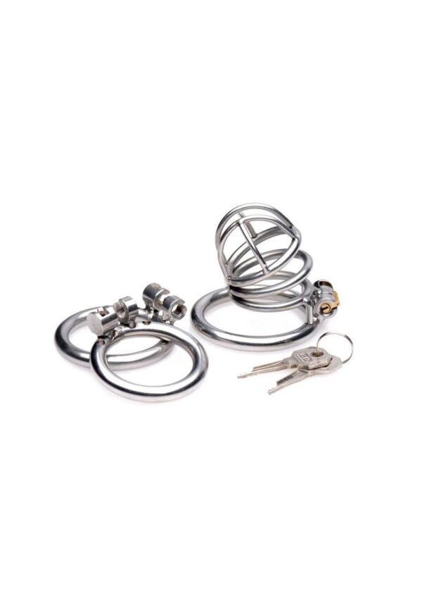 Master Series The Pen Deluxe Locking Chastity Cage - Gray - Image 2