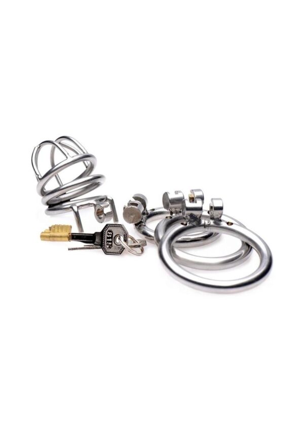 Master Series The Pen Deluxe Locking Chastity Cage - Gray - Image 3