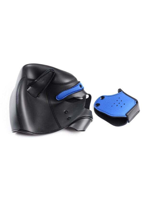 Master Series Neoprene Puppy Hood - Black and Blue - Image 3