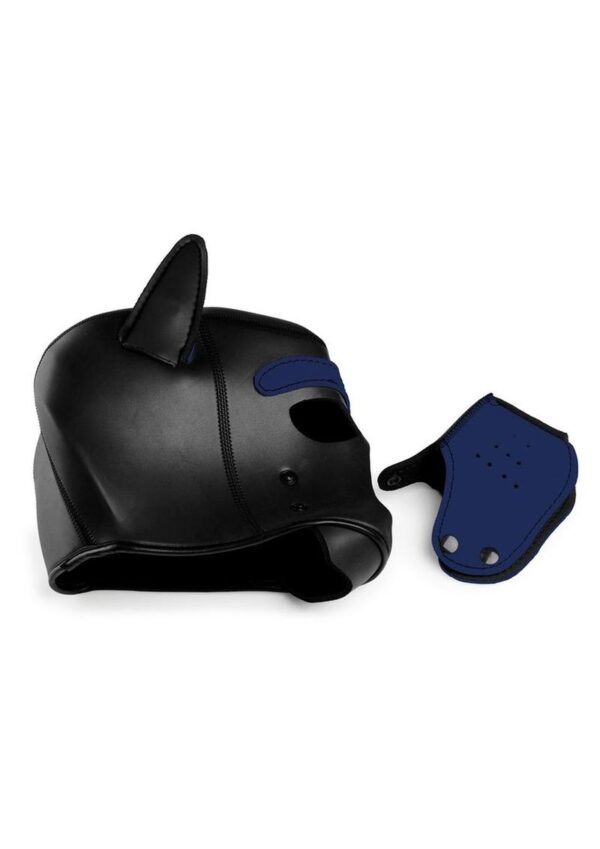 Master Series Neoprene Puppy Hood - Black and Blue - Image 4