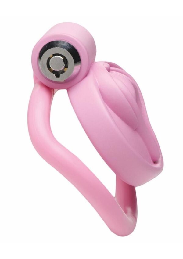 Master Series Pussification Vulva Chastity Cage - Pink - Image 3