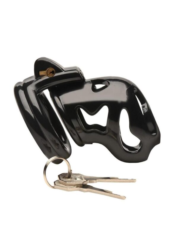 Master Series Hard Stop Double Ring Chastity Cage - Black - Image 2