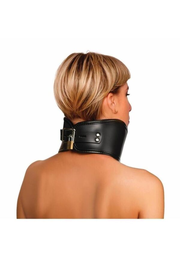 Master Series Hard Stance Padded Lock Posture Collar - Black - Image 4