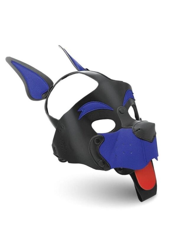 Master Series Alpha Dog Pup Hood - Blue - Image 2