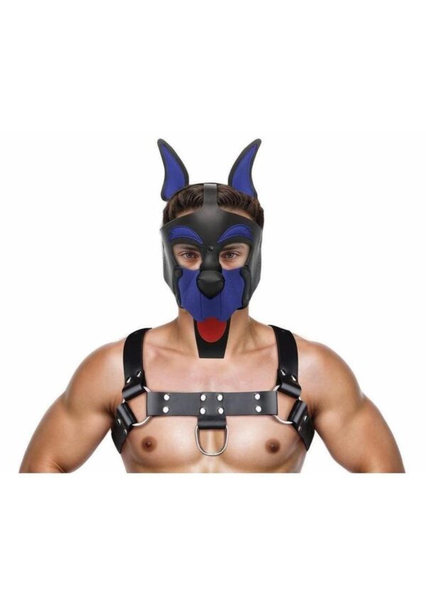 Master Series Alpha Dog Pup Hood - Blue - Image 3