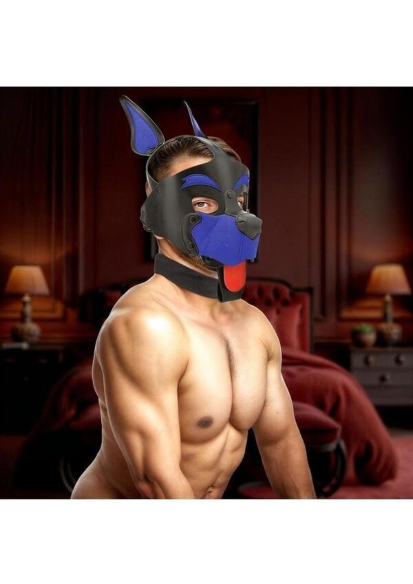 Master Series Alpha Dog Pup Hood - Blue - Image 4